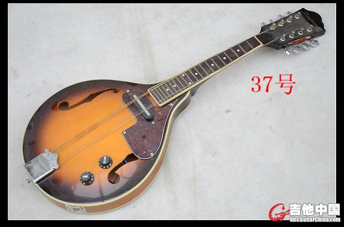 37号1.jpg