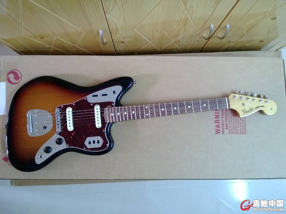 jaguar1.jpg