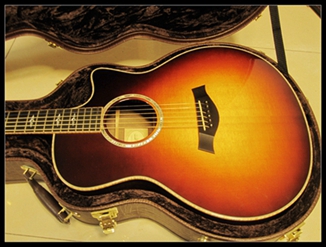 taylor816ce (4).jpg