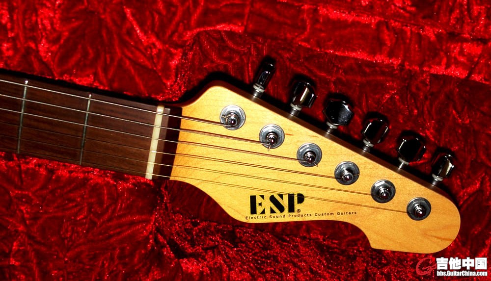 ESP Custom Shop_4.jpg