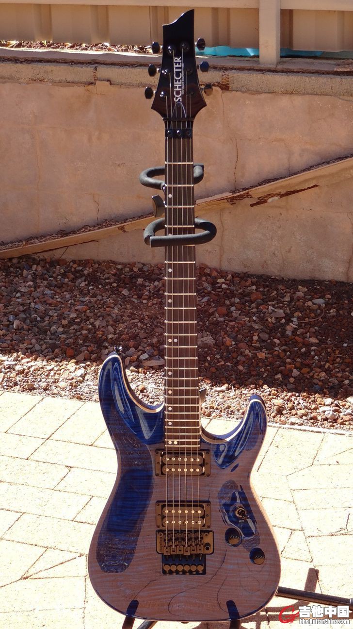 Schecter2.JPG