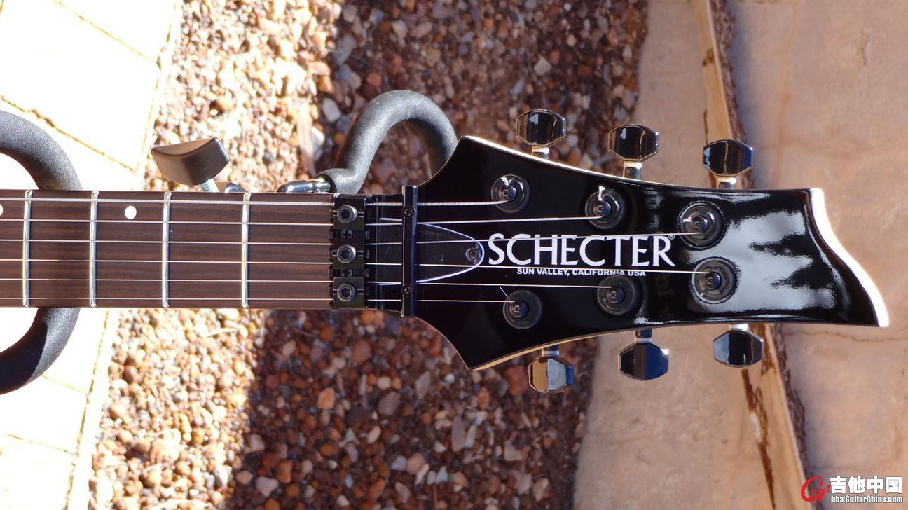 Schecter7.JPG