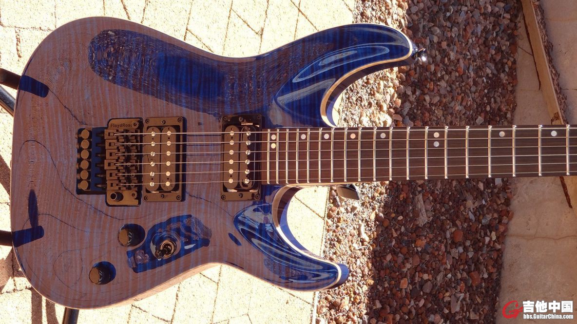 Schecter8.JPG