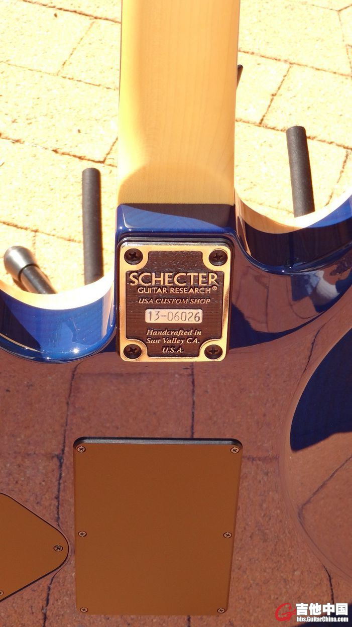 Schecter4.JPG