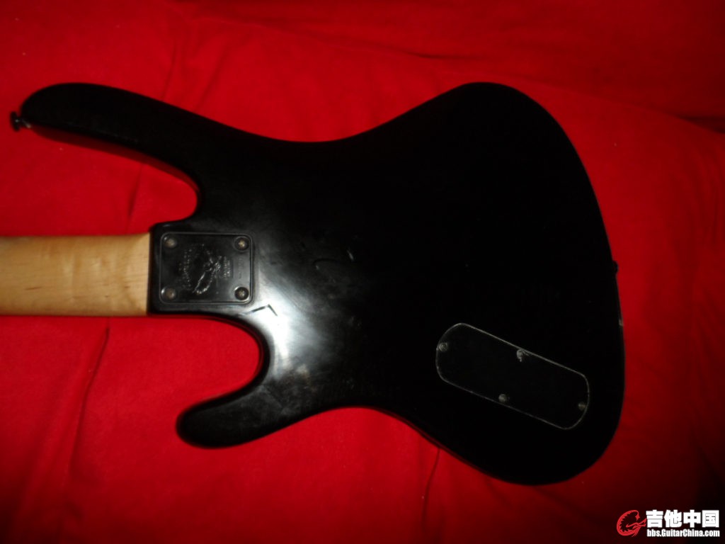 SAM_3453_副本.jpg