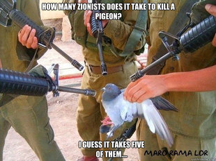 dove1.jpg