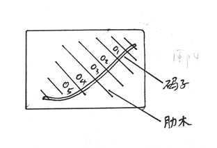 图H