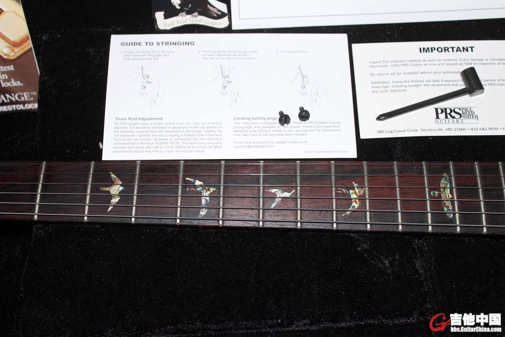 P11.jpg
