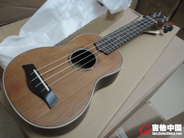 21寸玫瑰木红松单板140.JPG