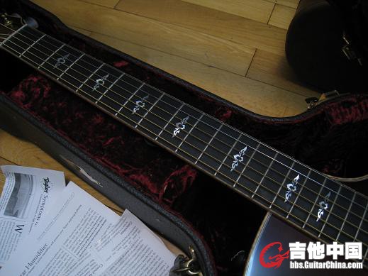 TAYLOR 814CE 008.jpg