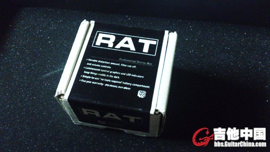 rat2-2.jpg