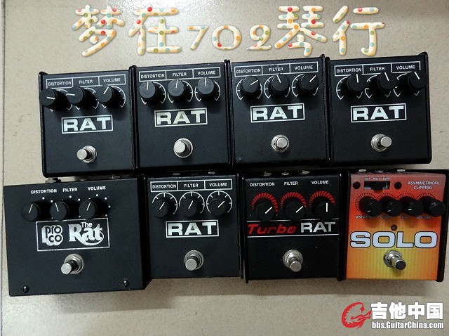 RAT.jpg