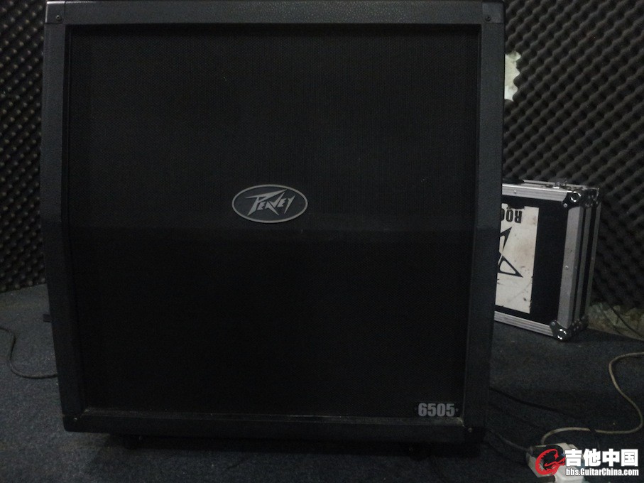 peavey 1.jpg