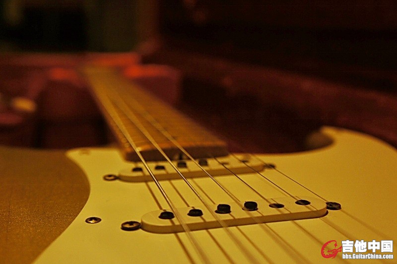 8 (800x532).jpg