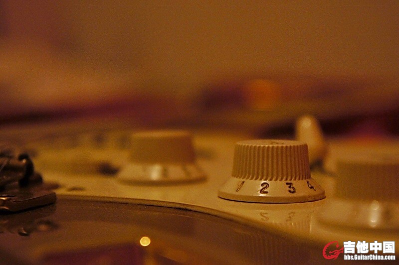 14 (800x532).jpg