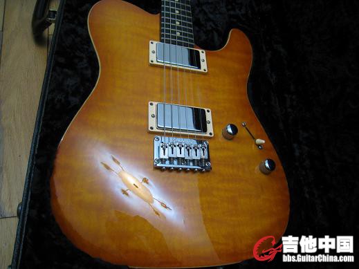 anderson cobra 2001 016.jpg