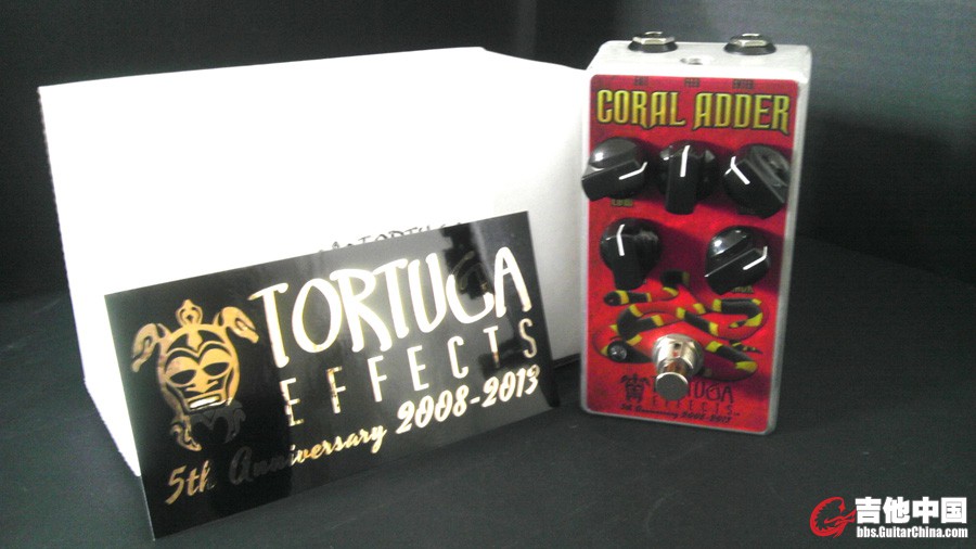 coral-adder1.jpg