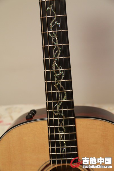 Taylor_CGA_07.JPG