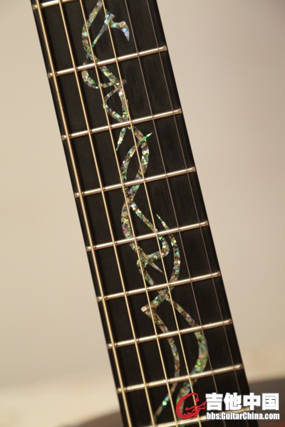Taylor_CGA_08.JPG