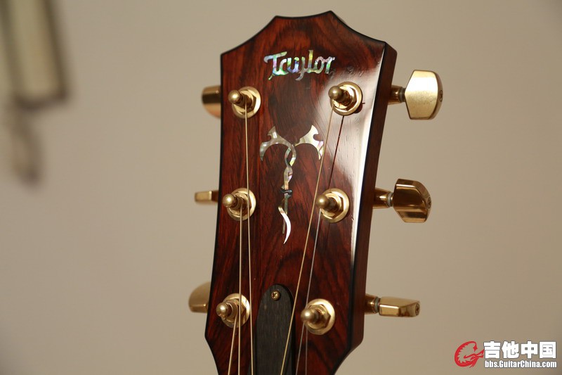Taylor_CGA_04.JPG