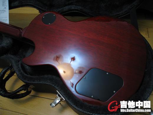 gibson 2006 ps 011.jpg