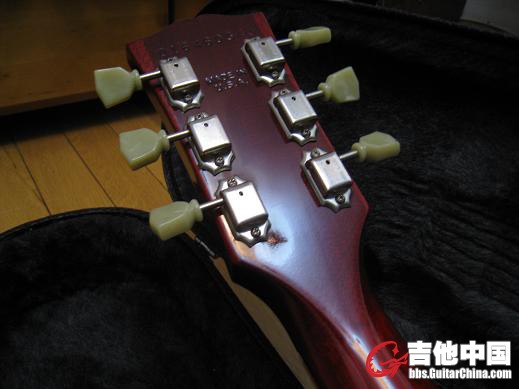 gibson 2006 ps 014.jpg
