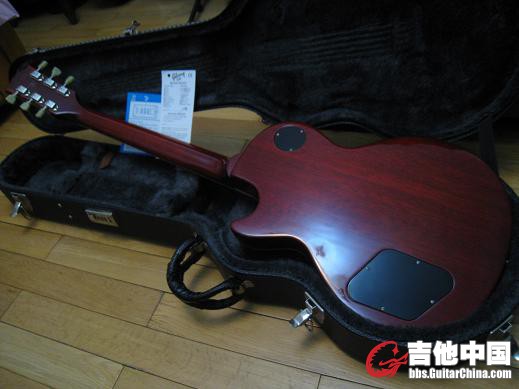 gibson 2006 ps 010.jpg