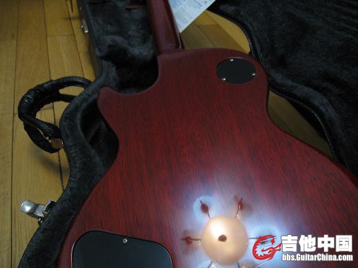gibson 2006 ps 012.jpg