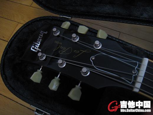 gibson 2006 ps 009.jpg