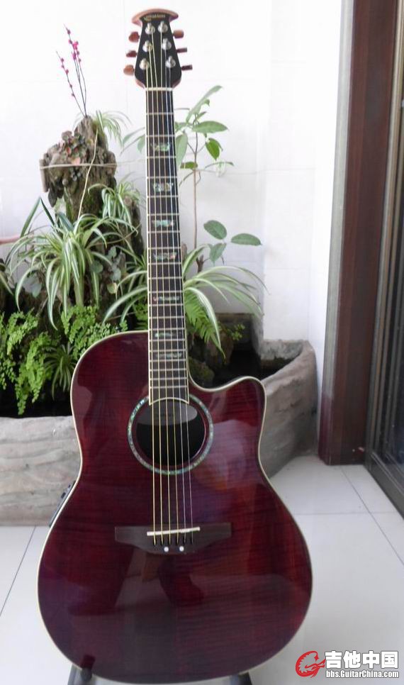 Ovation GC24D1.jpg