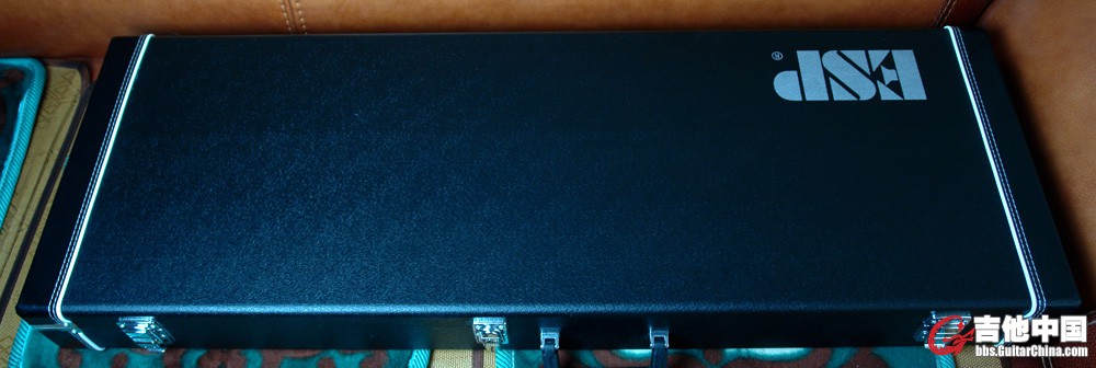 ESP Horizon Custom Shop_1.jpg