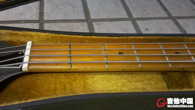 sg bass 6.JPG