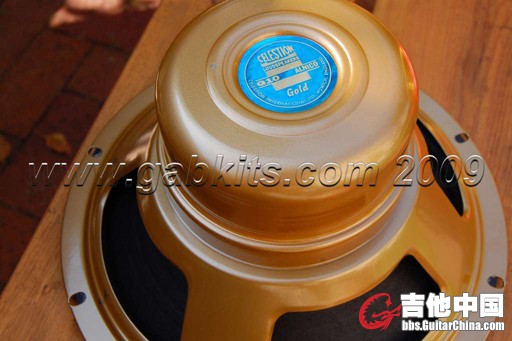 Celestion_G10_Gold_41.jpg