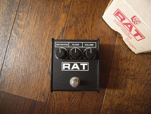 rat2 1995.jpg