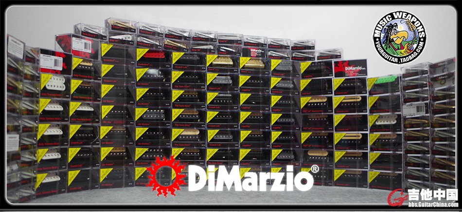 DIMARZIO 海报.jpg