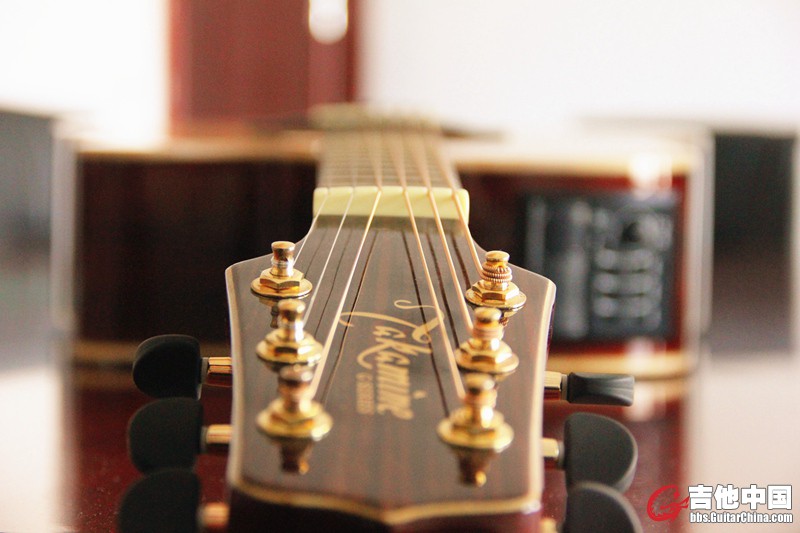 Takamine EG363_1.jpg