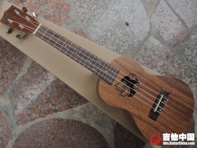DSC05885.jpg