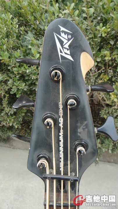 DSC01531.JPG