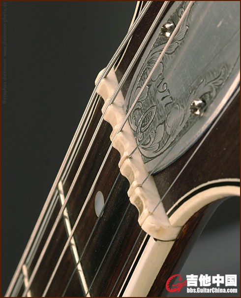 zemaitis-saddle.jpg