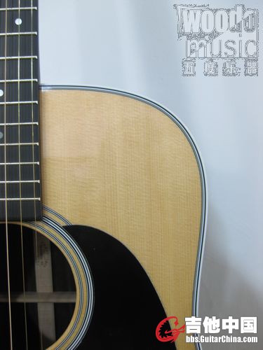 MARTIN D28P 5.JPG