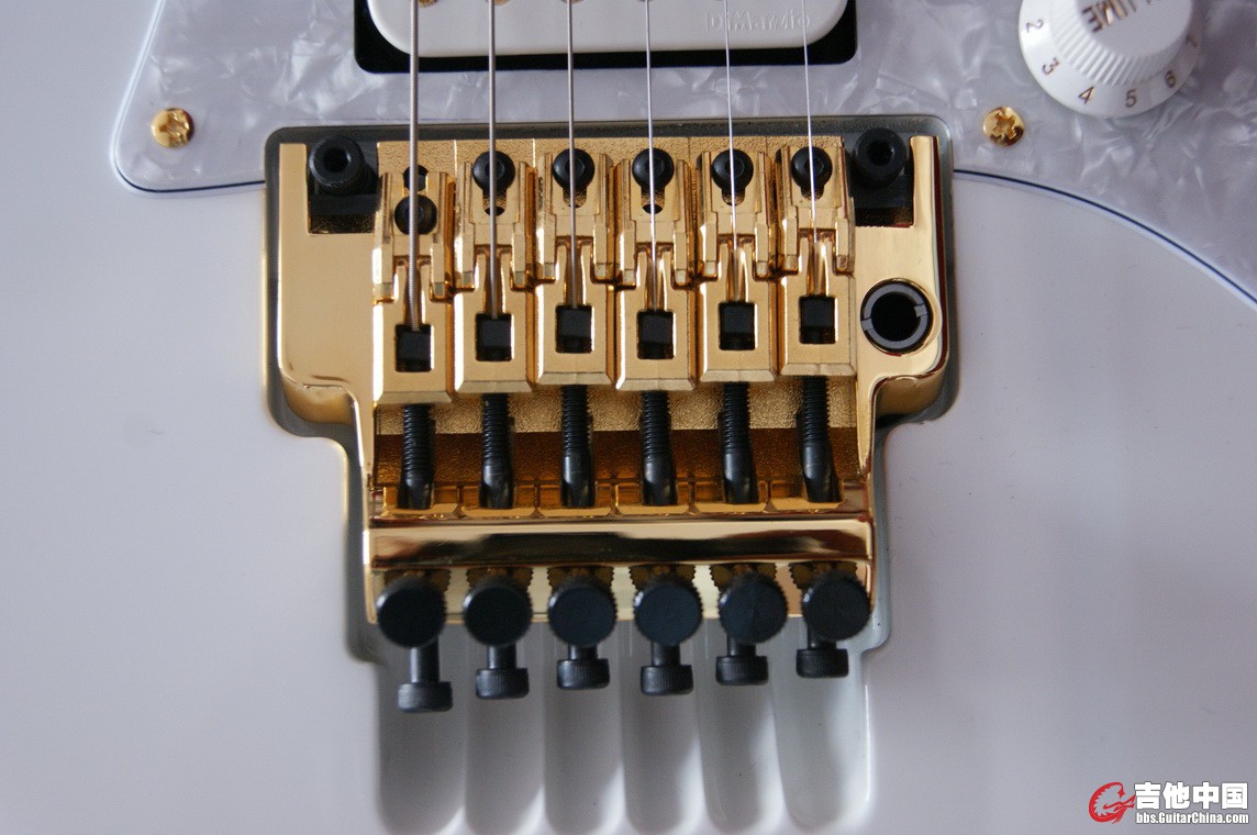 DSC07086_调整大小.JPG