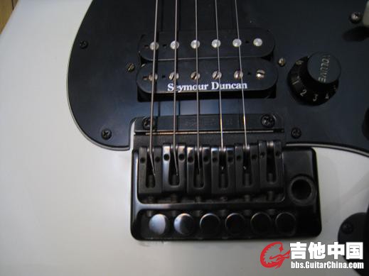 schecter. bai. 014.jpg