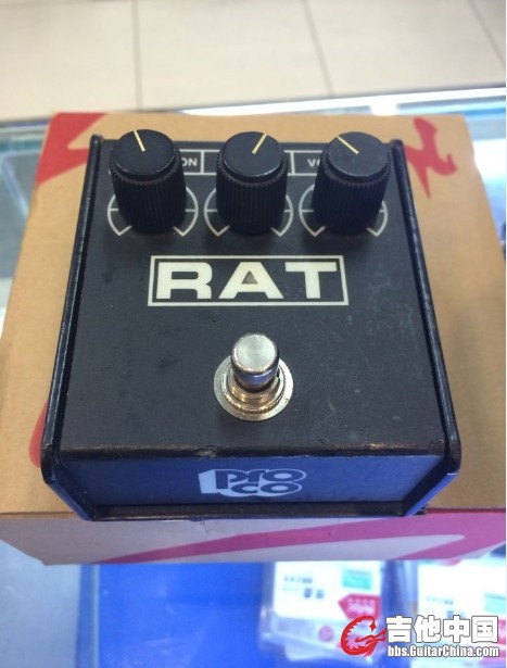 rat.jpg